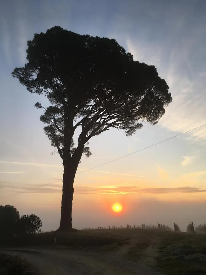 La Falconara Montepulciano Stazione Itália