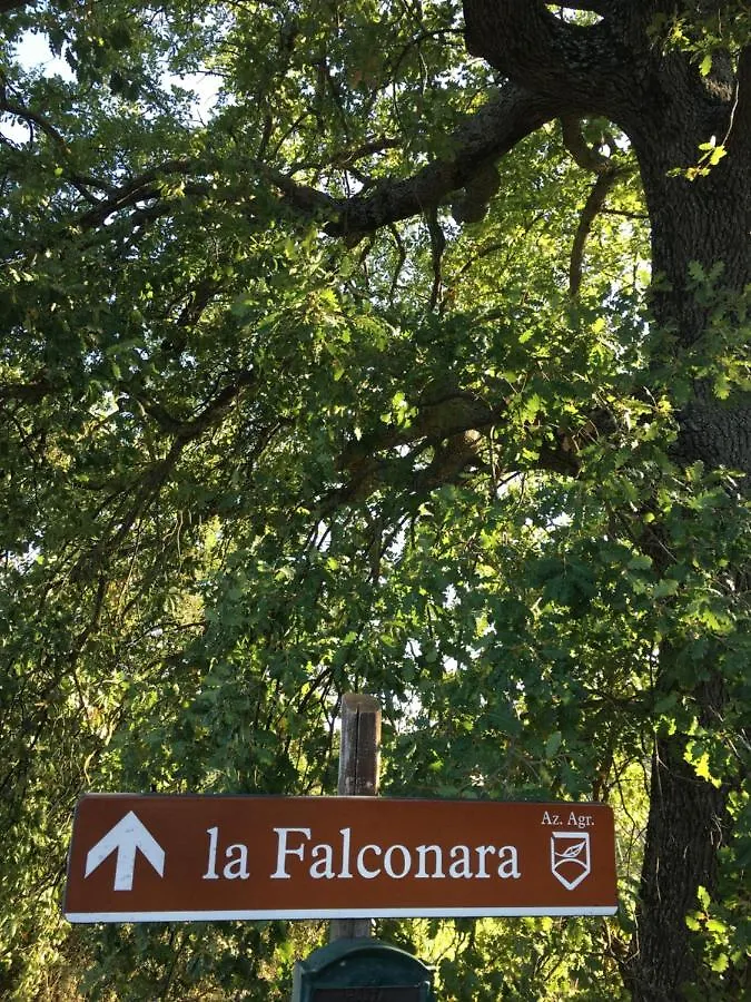 La Falconara Montepulciano Stazione