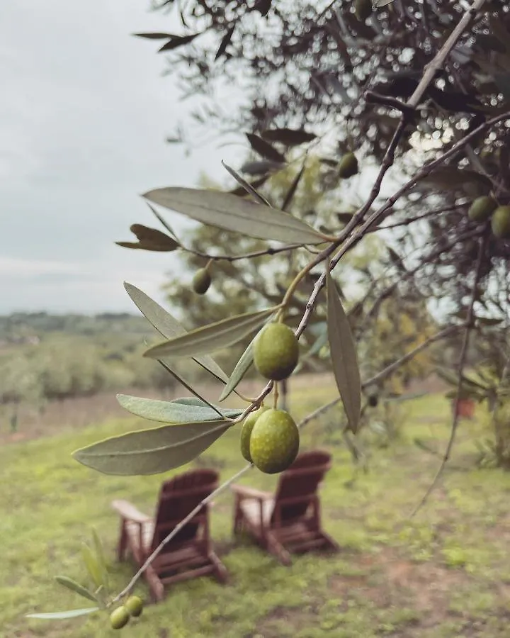Alojamento de Turismo Rural La Falconara Montepulciano Stazione