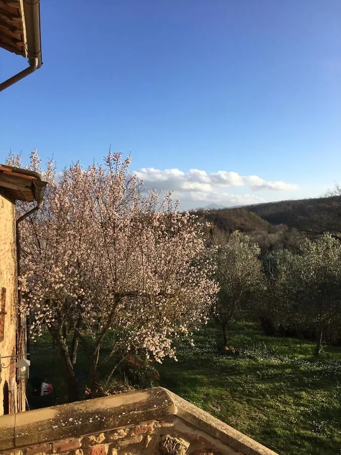La Falconara Montepulciano Stazione 0*,  Itália