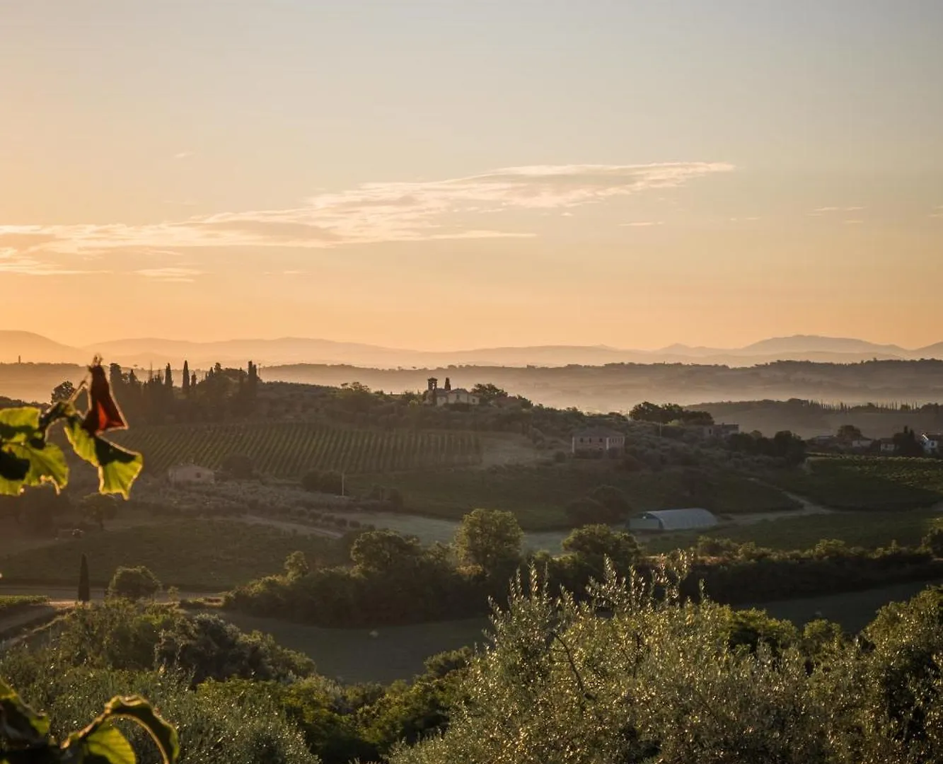 La Falconara Montepulciano Stazione