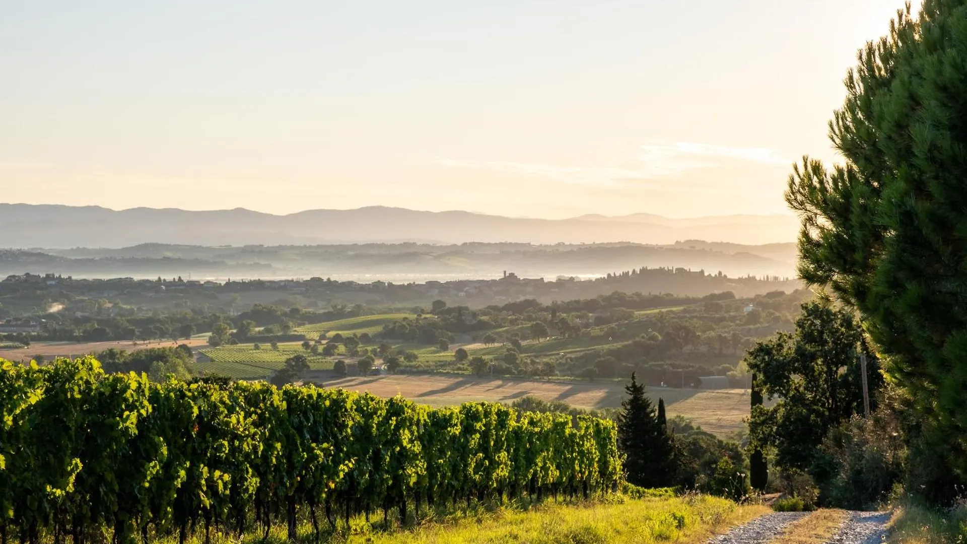 Farm stay La Falconara Villa Montepulciano