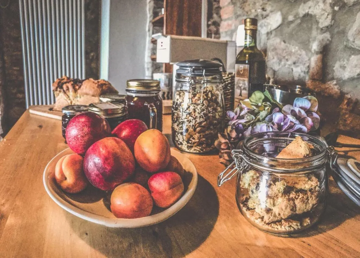 Farm stay La Falconara Montepulciano Italy