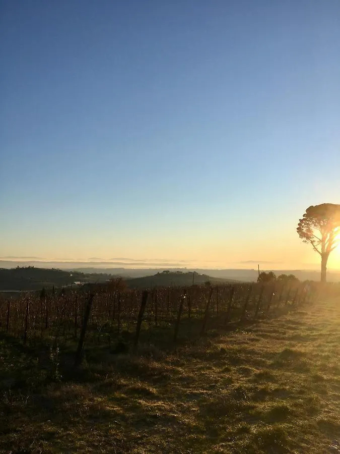 La Falconara Montepulciano Farm stay
